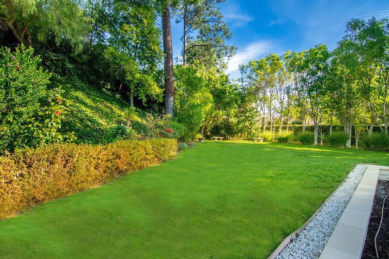 A long green lawn edged with hedges and tall trees in the backyard of the Winnetka home